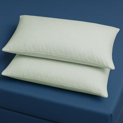 Breathable Waterproof Pillow, Pair